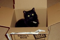 Carling finds a hiding place